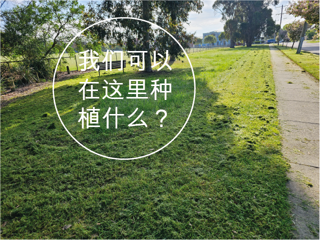 lawn - Chinese text